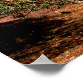 Het Australische Poster voor outback (Hoek)