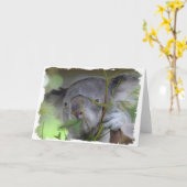 Het Australische Wenskaart van de Koala Kaart (Gele Bloem)