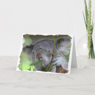 Het Australische Wenskaart van de Koala Kaart