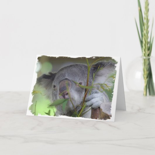 Het Australische Wenskaart van de Koala Kaart (Voorkant)
