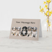 Het Australische Wenskaart van het "puppy" van de Kaart (Gele Bloem)