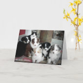 Het Australische Wenskaart van het "puppy" van de Kaart (Gele Bloem)