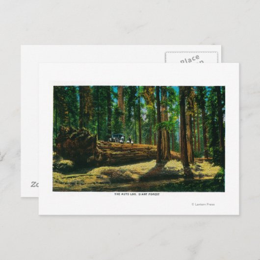 Het auto Login reuzenbos, sequoia's Briefkaart (Voorkant / Achterkant)