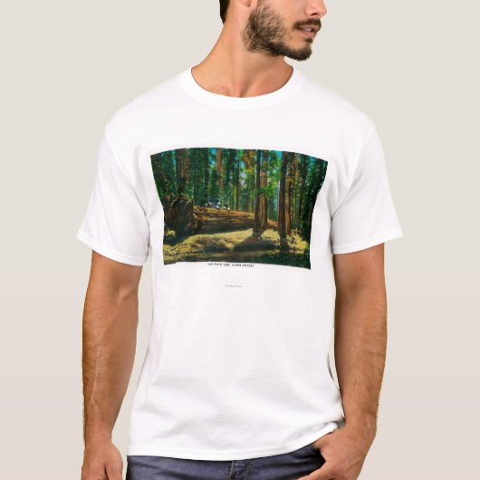 Het auto Login reuzenbos, sequoia's T-shirt (Voorkant)