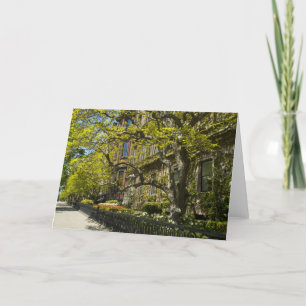 Het Ave Bldg, de doctorandus in de letteren van de Kaart