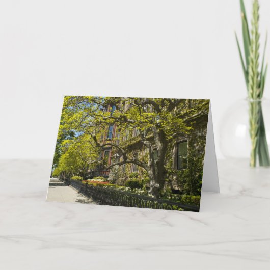 Het Ave Bldg, de doctorandus in de letteren van de Kaart (Voorkant)