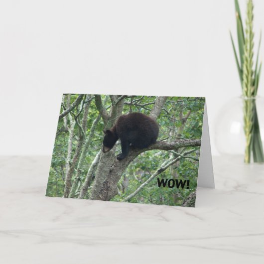 het baby draagt verjaardagskaart kaart (Voorkant)