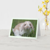Het baby Holland snoeit Konijn Kaart (Gele Bloem)