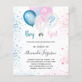 Het baby shower van de begroting onthult de glitte (Voorkant)
