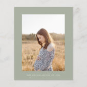 Het baby shower van de begroting pampas moderne gr flyer (Achterkant)