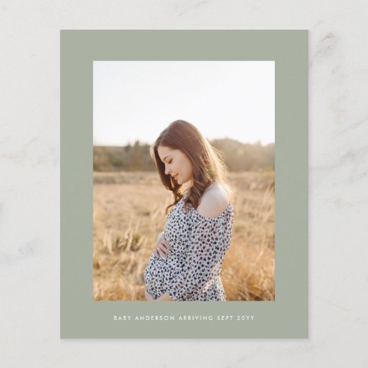 Het baby shower van de begroting pampas moderne gr flyer (Achterkant)