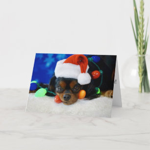 Het Baby van de kerstman Feestdagen Kaart