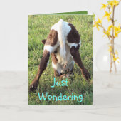 Het babykalf 2 van Dessa past om het even welke Kaart (Gele Bloem)