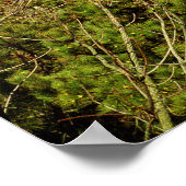 Het baken van Currituck Beach Poster (Hoek)