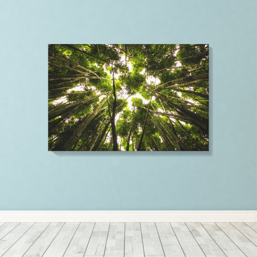 Het Bamboe-bos Canvas Afdruk (Insitu (Houten vloer))