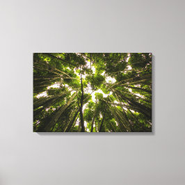 Het Bamboe-bos Canvas Afdruk