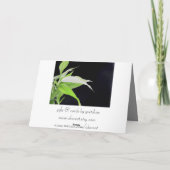 Het bamboe verlaat Reis de Gelukkige Kaart van de (Achterkant)