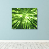 Het bamboebos canvas afdruk (Insitu (Houten vloer))