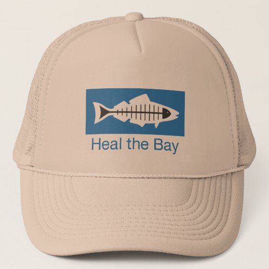 Het basisPet van eBay genezen Trucker Pet (Voorkant)