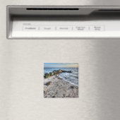 Het Beach Magnet (Insitu (Vaatwasser))