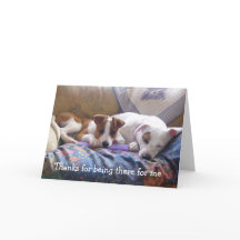 Het Bedankt van honden voor daar het zijn