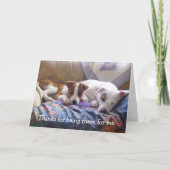 Het Bedankt van honden voor daar het zijn (Voorkant)