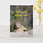 Het bedelen van de Gelukkige Verjaardag van de Kaart (Gele Bloem)