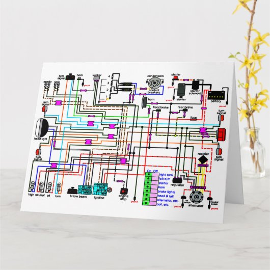 Het bedradingsdiagram van de Motorfiets. Kaart (Gele Bloem)