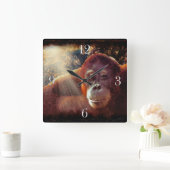 Het bedreigde Afbeelding van Orangutan en regenwou Vierkante Klok (Huis)