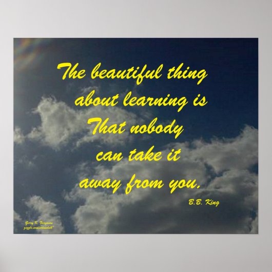 HET BEELD OVER LEREN B.B.KING POSTER (Voorkant)