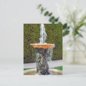 Het beeld van de Alley Marmousets in Versailles Briefkaart (Staand voorkant)