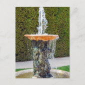 Het beeld van de Alley Marmousets in Versailles Briefkaart (Voorkant)