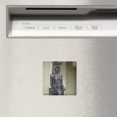 Het beeld van de leeuwengodin Sekhmet van de Magneet (Insitu (Vaatwasser))