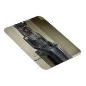 Het beeld van de leeuwengodin Sekhmet van de Magneet (Rechterzijde)