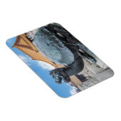 Het beeld van een schildpad in de verboden stad Pe Magneet (Rechterzijde)