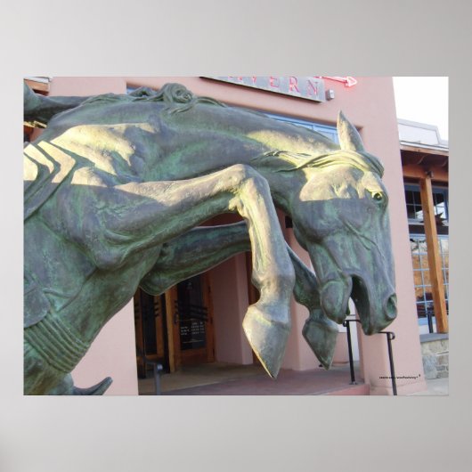 Het beeld van het kweekpaard poster (Voorkant)