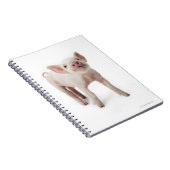 Het beeld van het varken omhoog kijkt notitieboek (Rechterzijde)