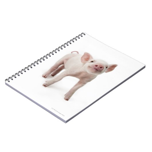 Het beeld van het varken omhoog kijkt notitieboek (Linkerzijde)