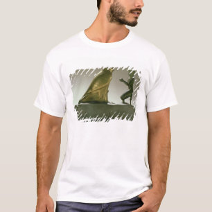 Het beeld van koning Taharqa dat de valk-god aanbi T-shirt