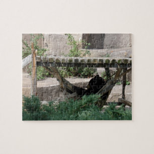 Het Beer in Hammock verlichten Legpuzzel