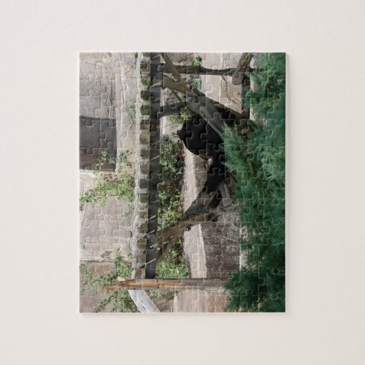 Het Beer in Hammock verlichten Legpuzzel (Verticaal)