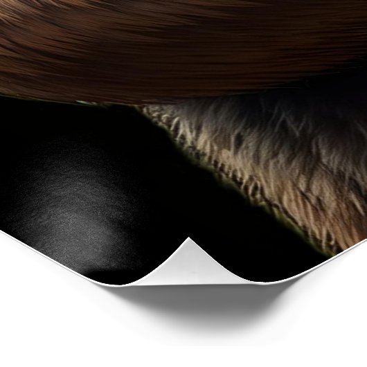 Het Beer Perfect Poster (Hoek)