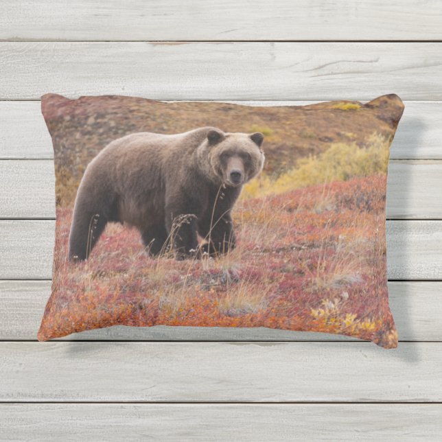 Het Beer van de grizzly beweegt zich door herfst k Buitenkussen (Achterkant)