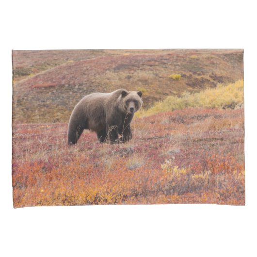 Het Beer van de grizzly beweegt zich door herfst k Kussensloop (Voorkant-Rechts)