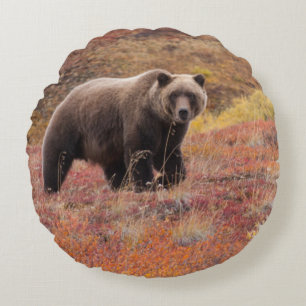 Het Beer van de grizzly beweegt zich door herfst k Rond Kussen