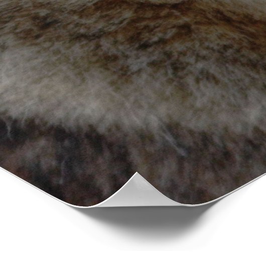 Het Beest Inside - Wolf Motivatie Poster (Hoek)