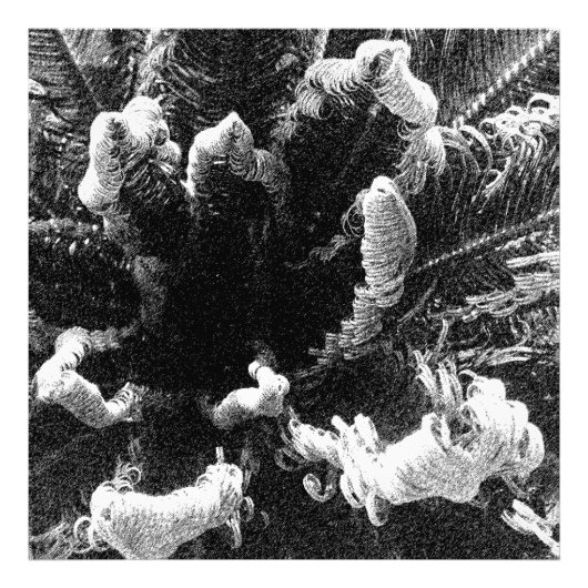 Het begin foto afdruk (Voorkant)