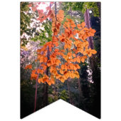 Het begin van de herfst vlaggetjes (Tweede vlag)