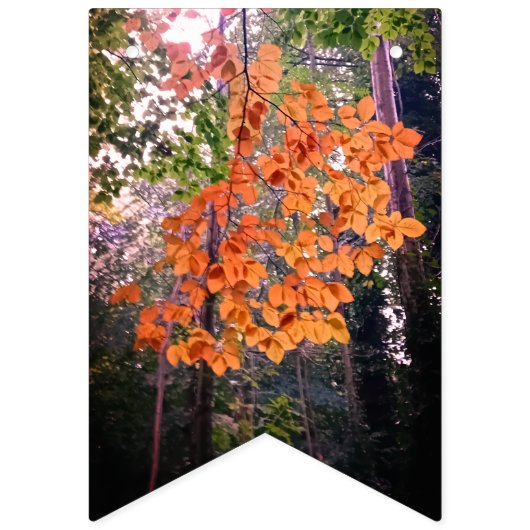 Het begin van de herfst vlaggetjes (Tweede vlag)