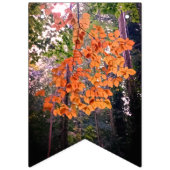 Het begin van de herfst vlaggetjes (Derde vlag)